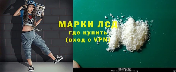 индика Горняк