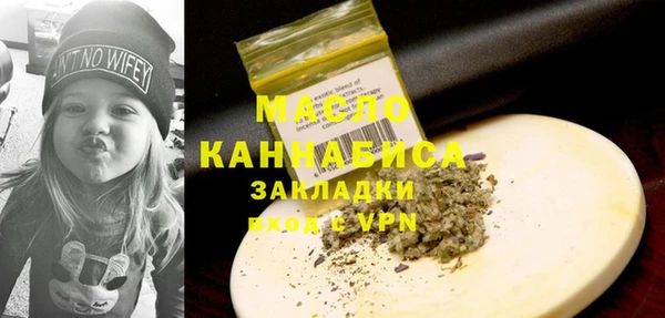 индика Горняк