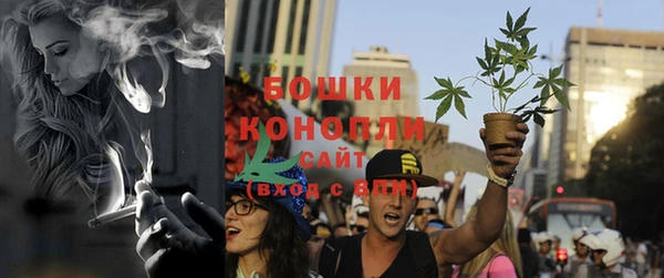 индика Горняк