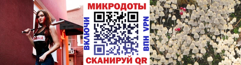 Галлюциногенные грибы Magic Shrooms Качканар
